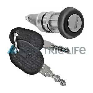 ZR80384 ELECTRIC LIFE