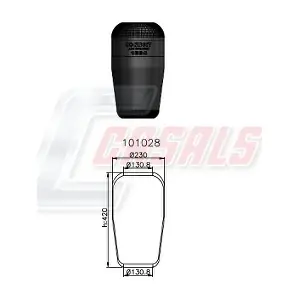 B1010 CASALS
