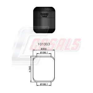 B1002 CASALS