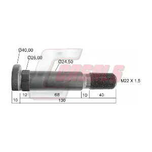 CASALS 21494