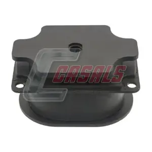 81107 CASALS