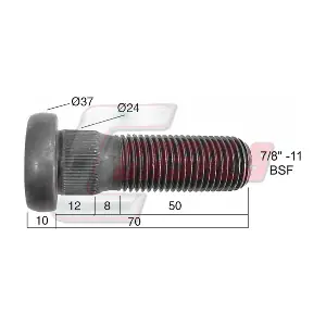 CASALS 21517