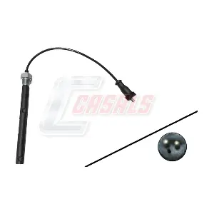 65406 CASALS