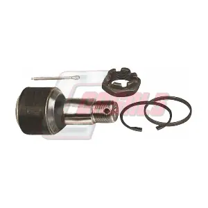 R7462 CASALS