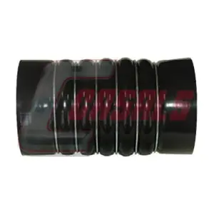 33205 CASALS