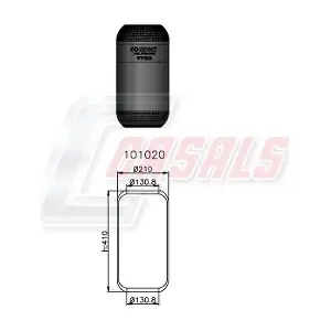B1162 CASALS