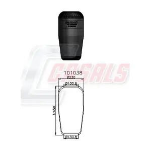 B1018 CASALS
