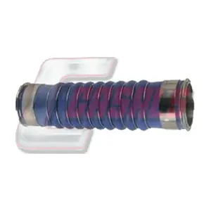 CASALS 33272