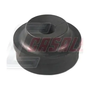 80884 CASALS