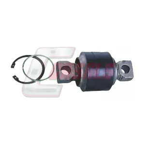 R3581 CASALS
