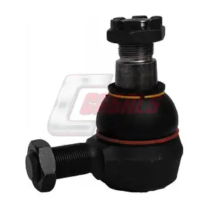 R8158 CASALS
