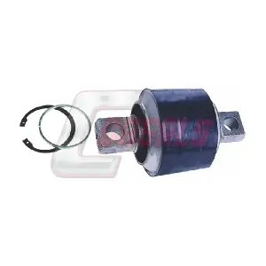 R3558 CASALS