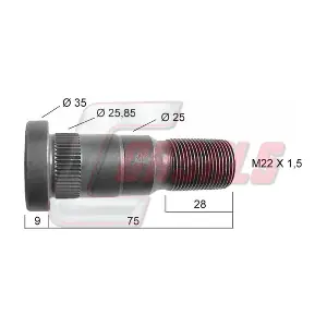 21172 CASALS
