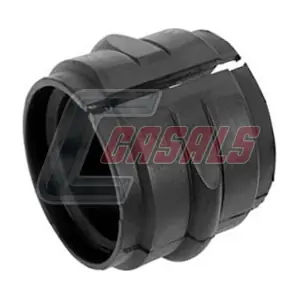 81108 CASALS