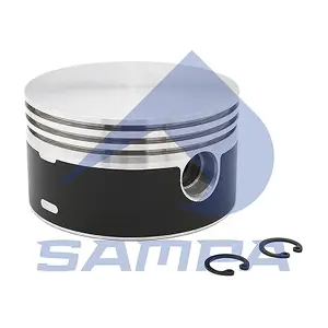202412 SAMPA