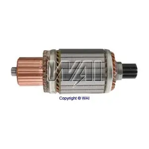 61-8110 WAI