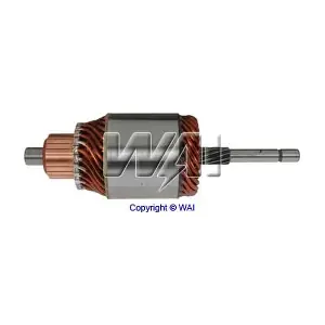 61207 WAI