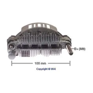 IMR10066 WAI