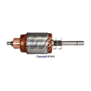 WAI 619205
