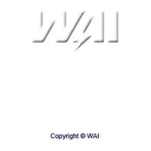 WAI 62-91901