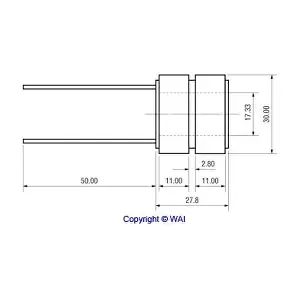 2818521 WAI