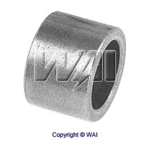 622300 WAI