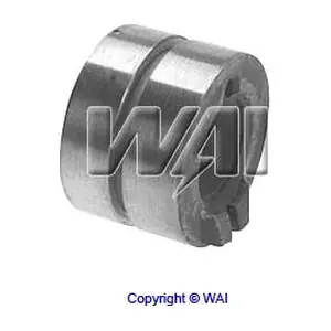 28918511 WAI