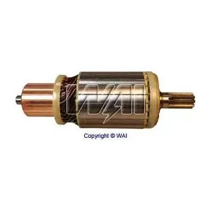WAI 61-8209