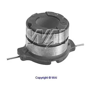 WAI 28-81855