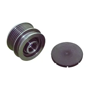 2491301 WAI