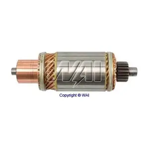 WAI 61-160