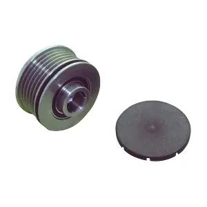 WAI 24-91317
