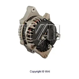 WAI 21952N