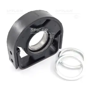 B-10029-00 SPICER