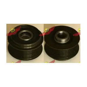 PW897079 PROTON