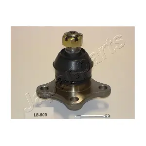 JAPLB-509 PEMEBLA