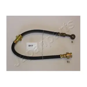 JAPTF-817 PEMEBLA