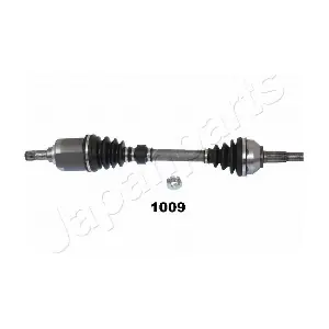 JAPGI-1009 PEMEBLA