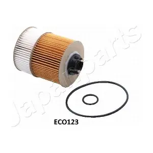 JAPFO-ECO123 PEMEBLA