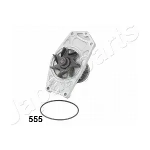 JAPPQ-555 PEMEBLA