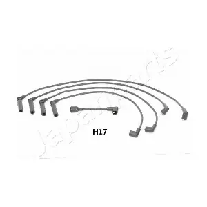 JAPIC-H17 PEMEBLA