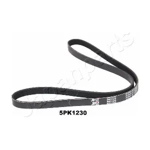 PEMEBLA JAPDV-5PK1230