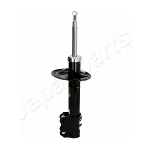 JAPMM-22081 PEMEBLA