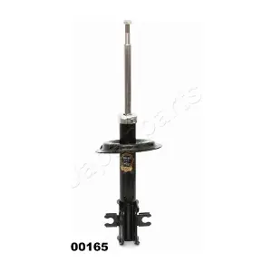 PEMEBLA JAPMM-00165