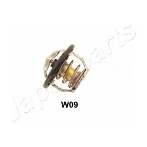 JAPVT-W09 PEMEBLA