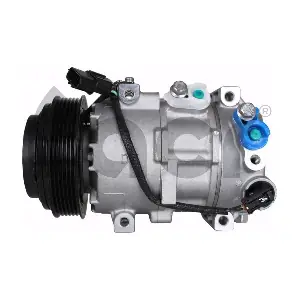 CAC78035 CASCO