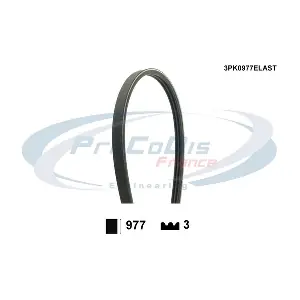 3PK0977ELAST PROCODIS FRANCE