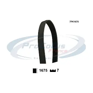 PROCODIS FRANCE 7PK1675