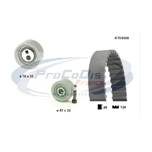 PROCODIS FRANCE KTD2020
