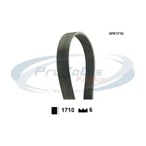 PROCODIS FRANCE 6PK1710